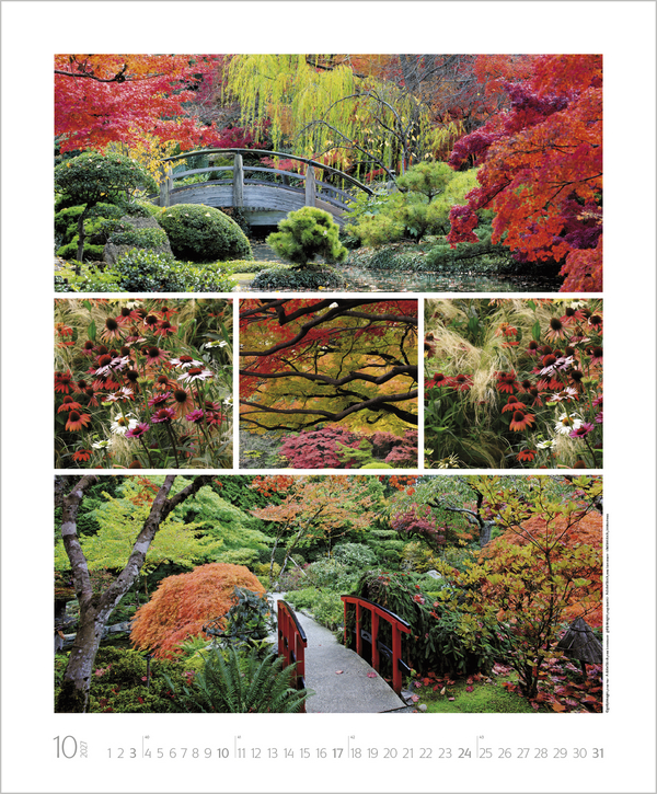 NaturGenuss 2027, Innenansicht #10