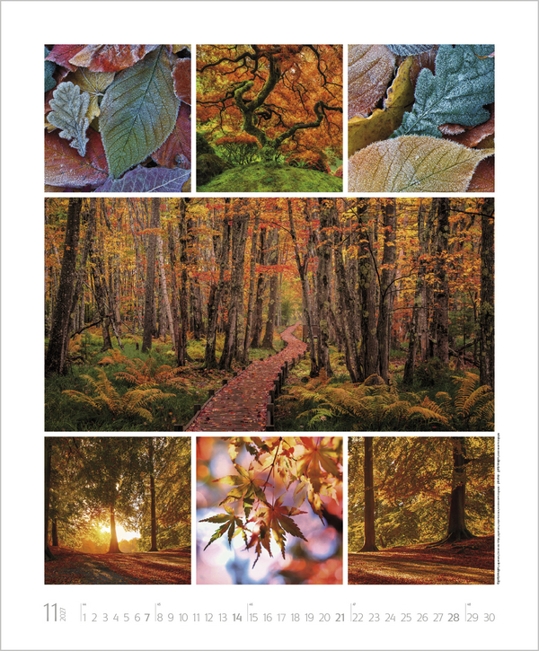 NaturGenuss 2027, Innenansicht #11