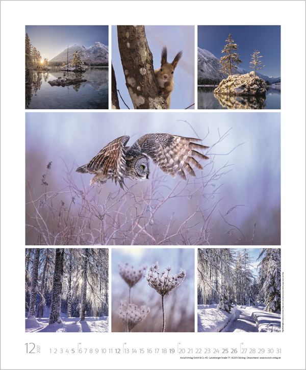 NaturGenuss 2027, Innenansicht #12