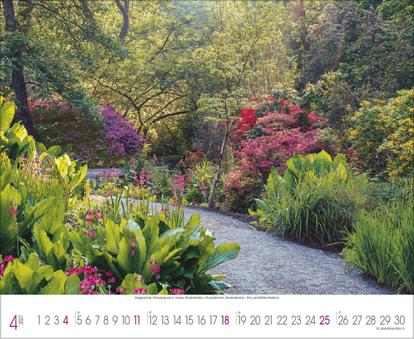 Traumhafte G&auml;rten 2027, Innenansicht #4