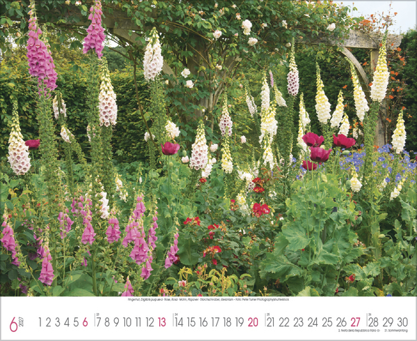 Traumhafte G&auml;rten 2027, Innenansicht #6