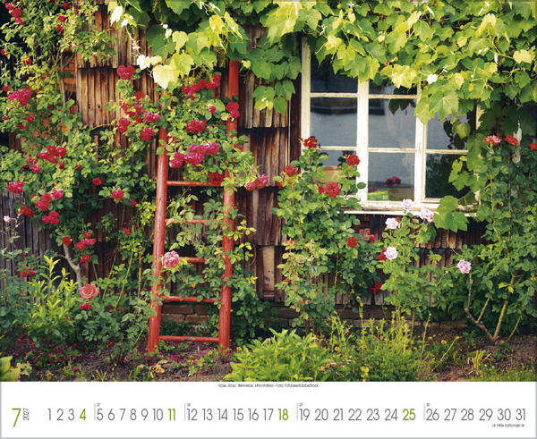 Traumhafte G&auml;rten 2027, Innenansicht #7