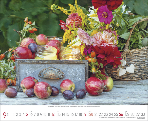 Traumhafte G&auml;rten 2027, Innenansicht #9