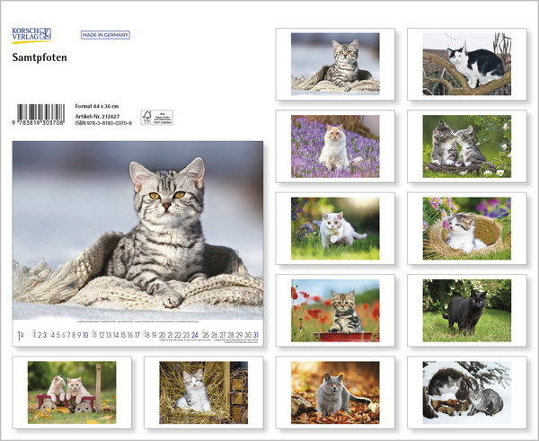 Samtpfoten 2027, Innenansicht #13