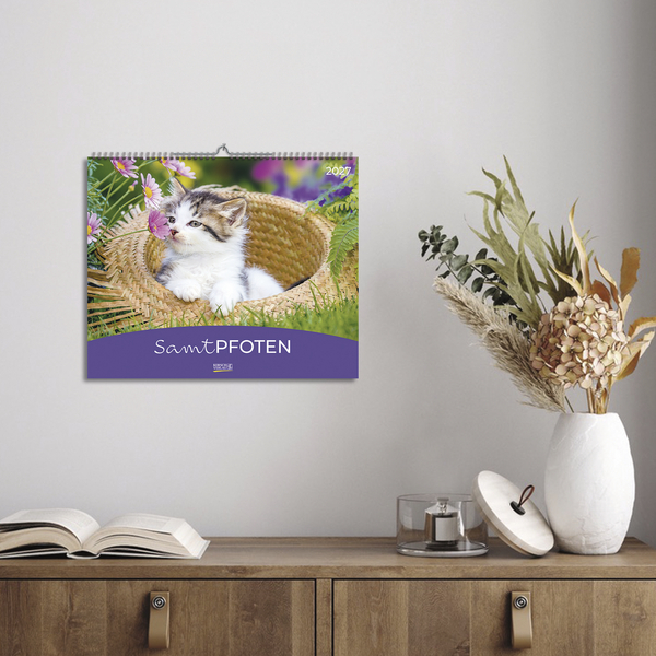 Samtpfoten 2027, Innenansicht #16