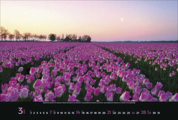 Colourful Seasons 2027, Innenansicht #3