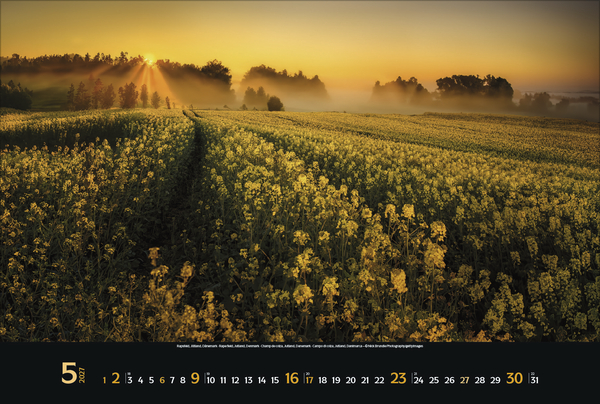 Colourful Seasons 2027, Innenansicht #5