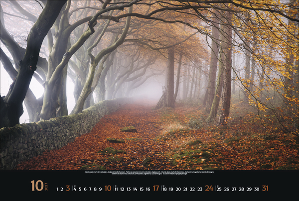 Colourful Seasons 2027, Innenansicht #10