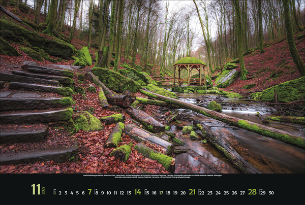 Colourful Seasons 2027, Innenansicht #11