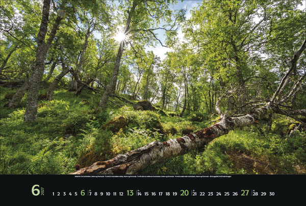 Reiselust Norwegen 2027, Innenansicht #6