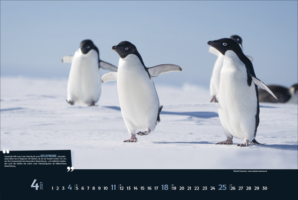 Expedition Antarktis 2027, Innenansicht #4