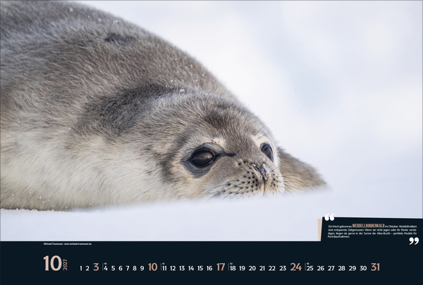 Expedition Antarktis 2027, Innenansicht #10