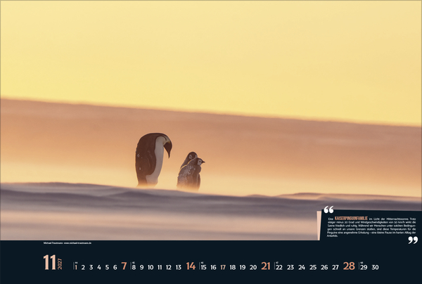 Expedition Antarktis 2027, Innenansicht #11