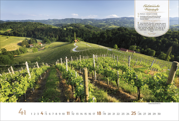 Weinstra&szlig;en Europas 2027, Innenansicht #4