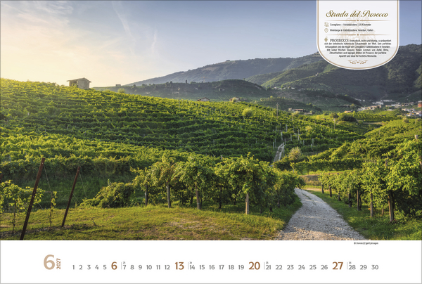 Weinstra&szlig;en Europas 2027, Innenansicht #6