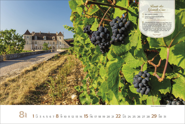 Weinstra&szlig;en Europas 2027, Innenansicht #8