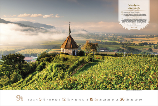 Weinstra&szlig;en Europas 2027, Innenansicht #9