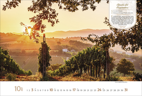 Weinstra&szlig;en Europas 2027, Innenansicht #10