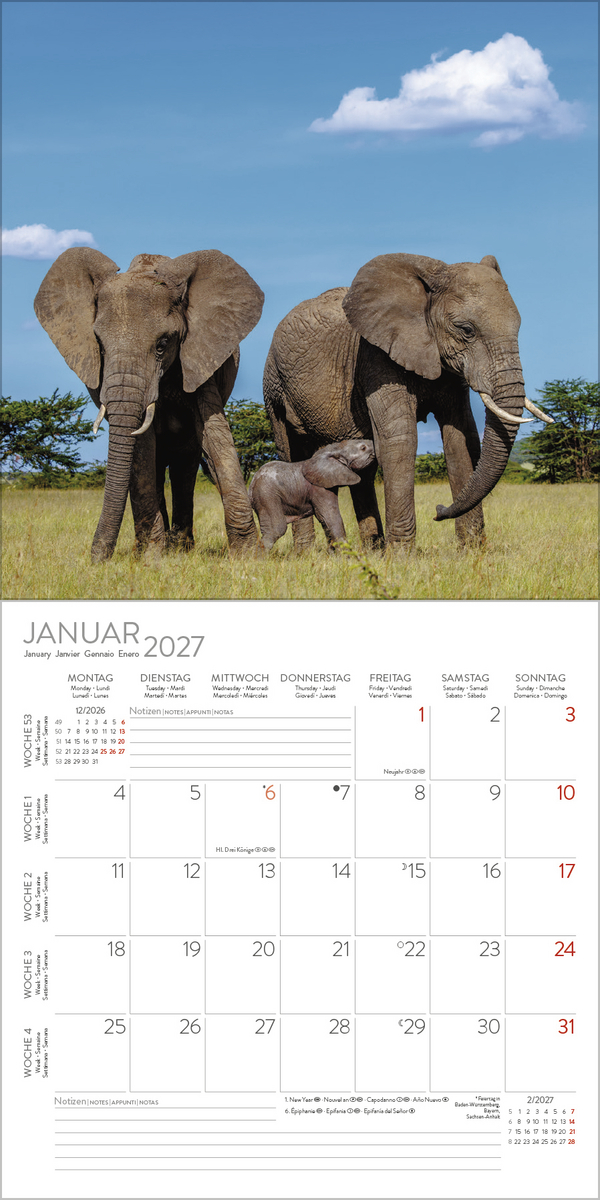 Elefanten 2027, Innenansicht #1