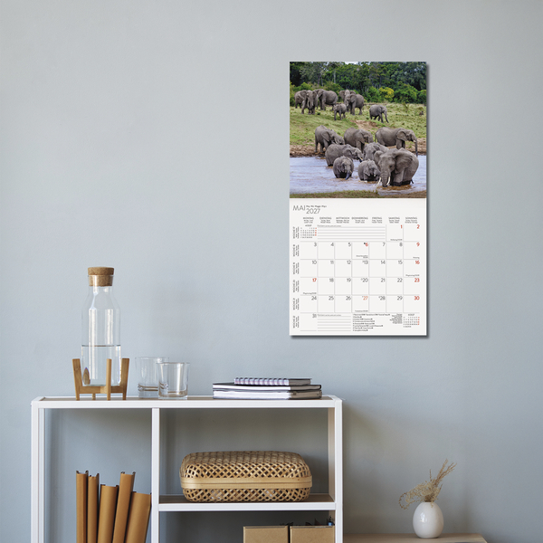 Elefanten 2027, Innenansicht #16