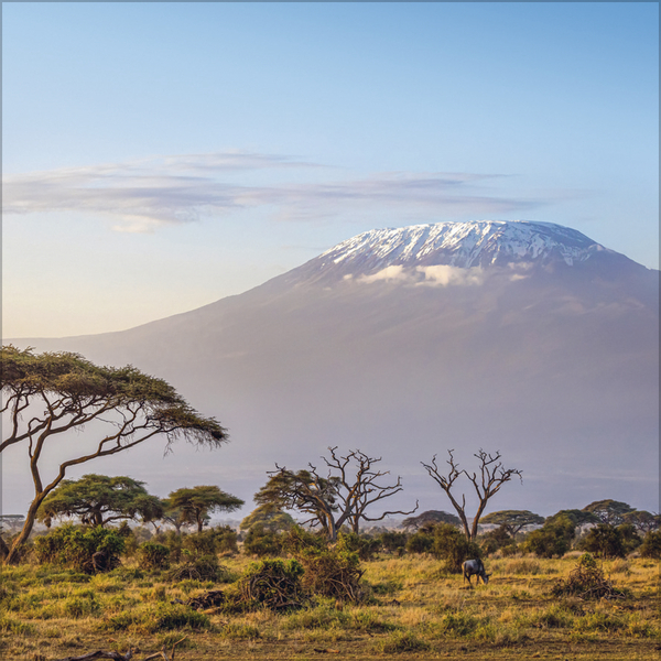 Wunder der Welt 2027, Innenansicht #3