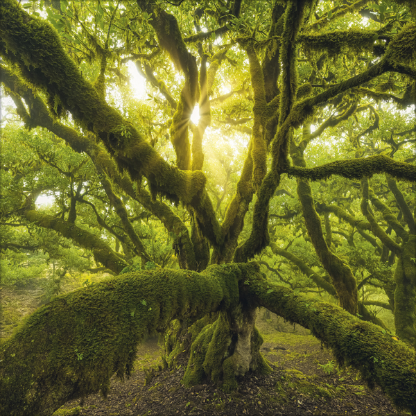 Wunder der Welt 2027, Innenansicht #7