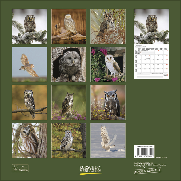 Eulen 2027, Innenansicht #13