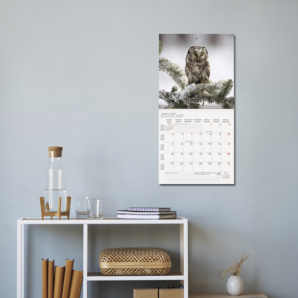 Eulen 2027, Innenansicht #16