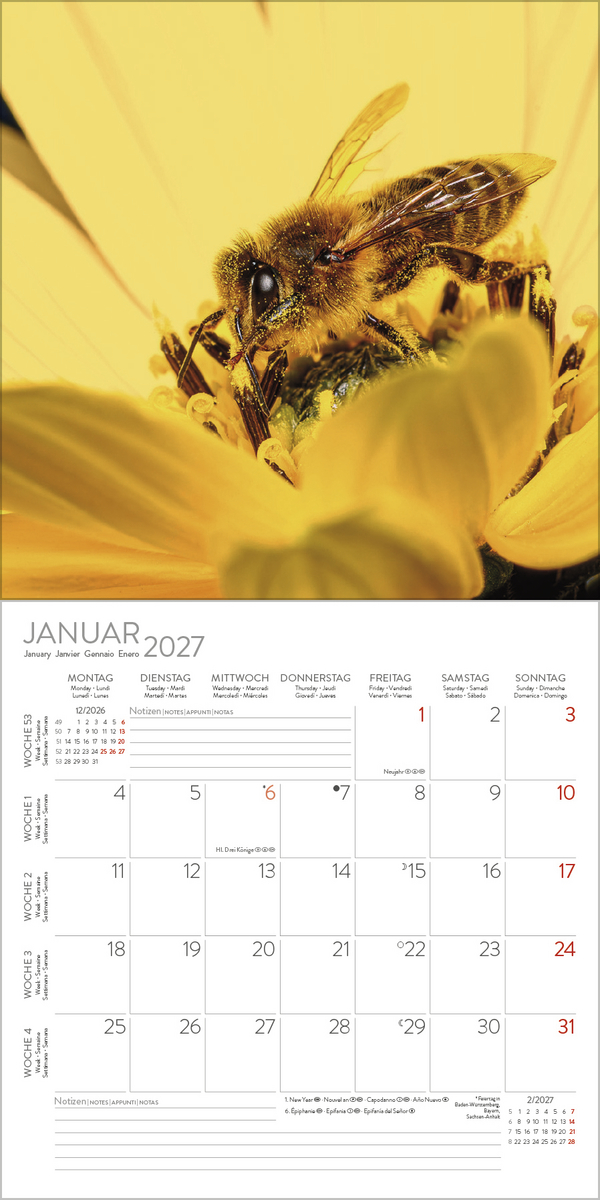 Bienen 2027, Innenansicht #1