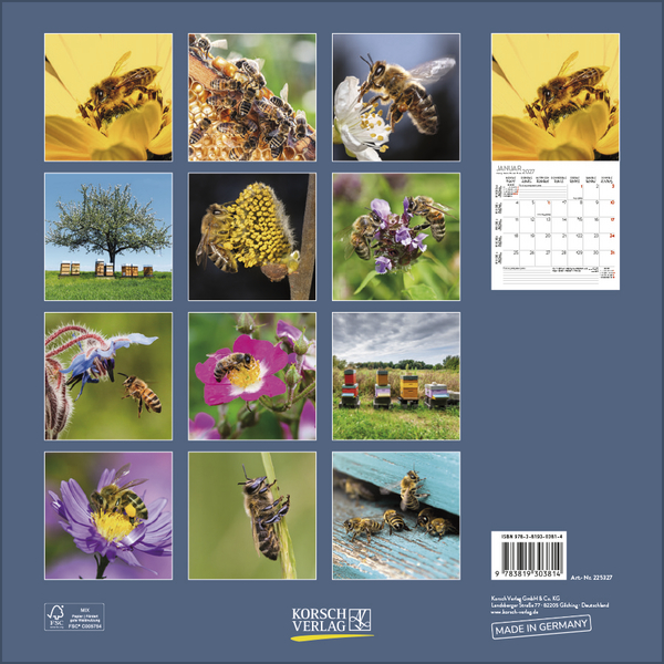 Bienen 2027, Innenansicht #13