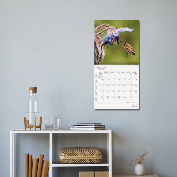 Bienen 2027, Innenansicht #16