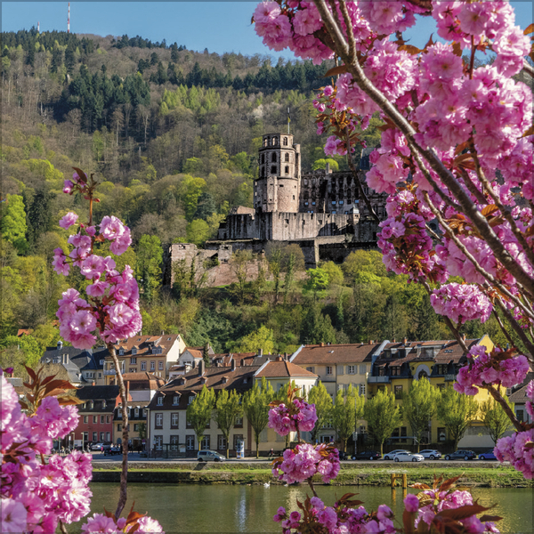 Deutschland 2027, Innenansicht #3