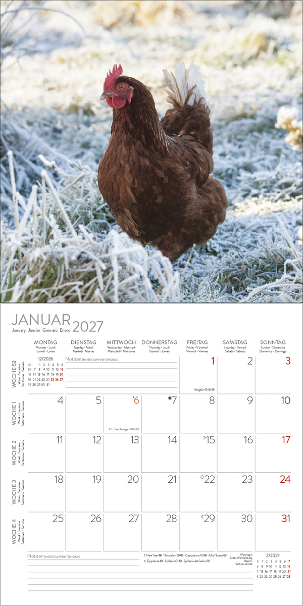 H&uuml;hner 2027, Innenansicht #1