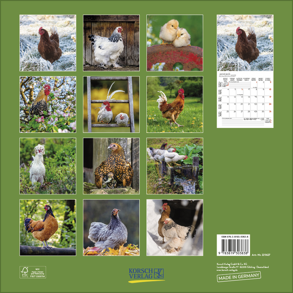 H&uuml;hner 2027, Innenansicht #13