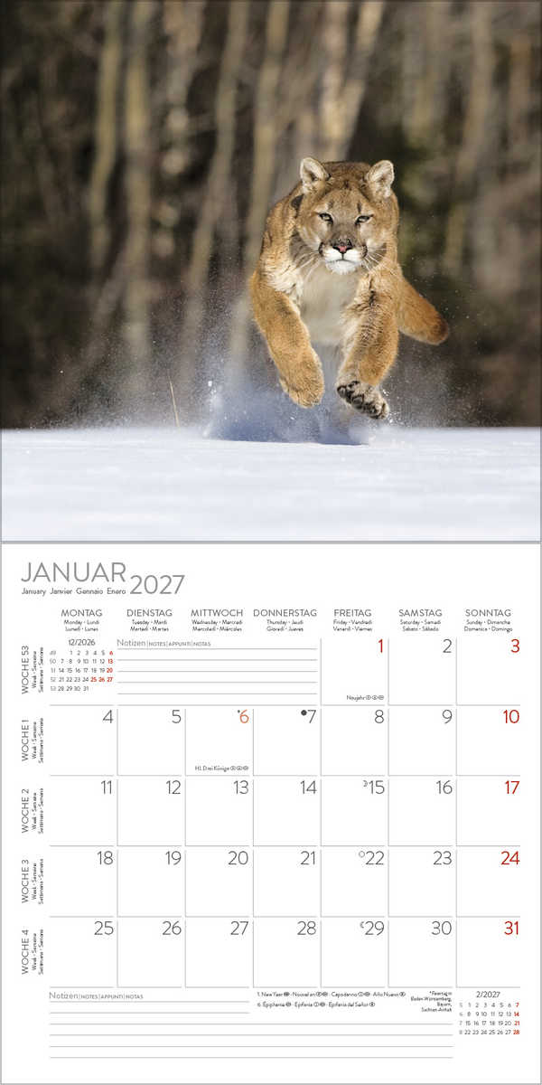 Big Cats 2027, Innenansicht #1