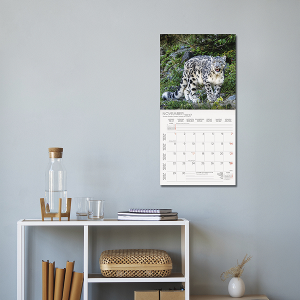 Big Cats 2027, Innenansicht #16