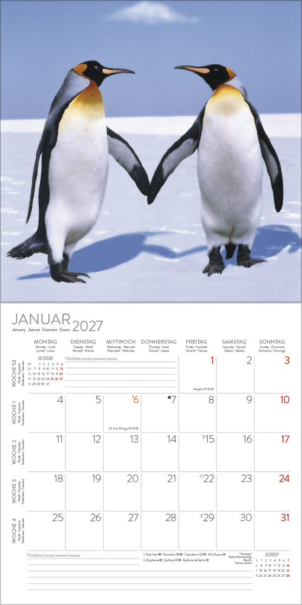 All we need is LOVE 2027, Innenansicht #1