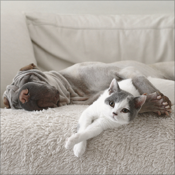 All we need is LOVE 2027, Innenansicht #2