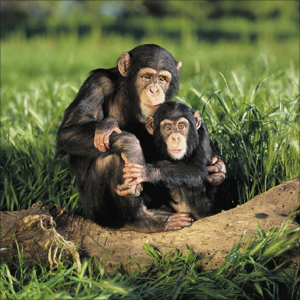 All we need is LOVE 2027, Innenansicht #5