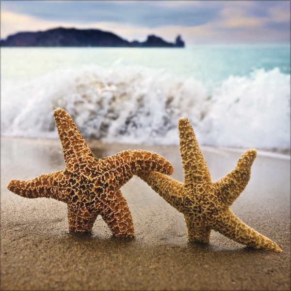 All we need is LOVE 2027, Innenansicht #6