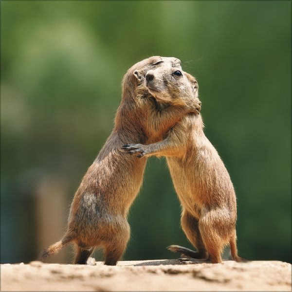 All we need is LOVE 2027, Innenansicht #7