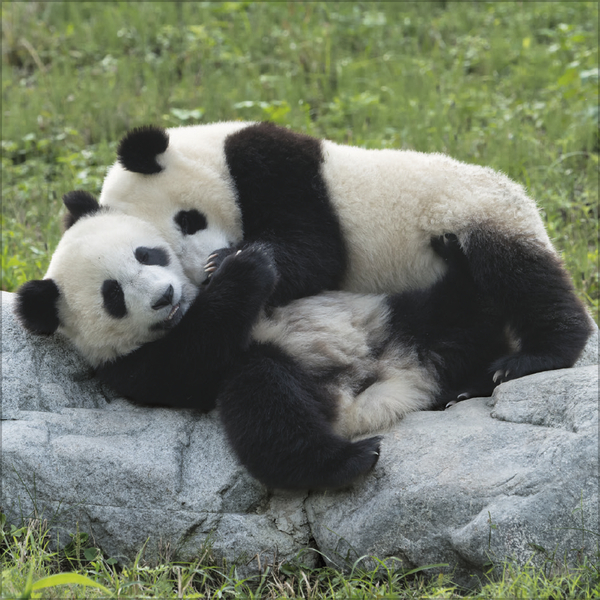 All we need is LOVE 2027, Innenansicht #9