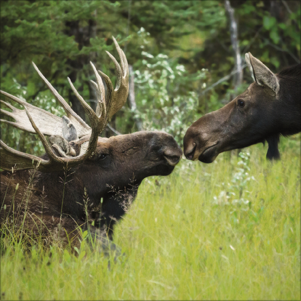 All we need is LOVE 2027, Innenansicht #11