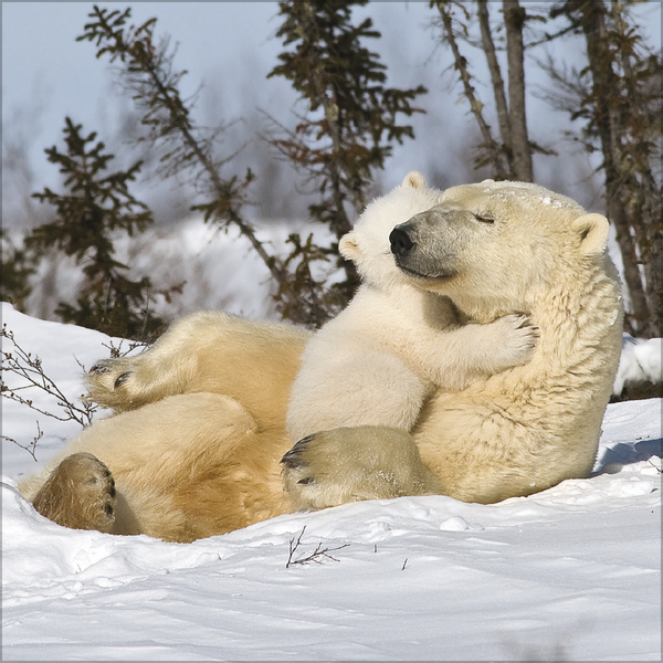 All we need is LOVE 2027, Innenansicht #12