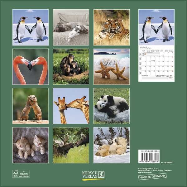 All we need is LOVE 2027, Innenansicht #13