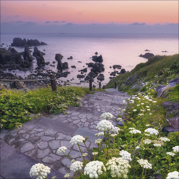 Traumwege 2027, Innenansicht #9