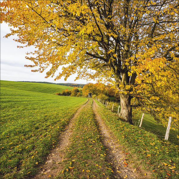 Traumwege 2027, Innenansicht #10