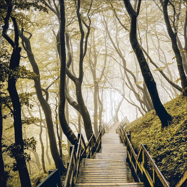 Traumwege 2027, Innenansicht #11