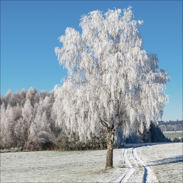 Traumwege 2027, Innenansicht #12