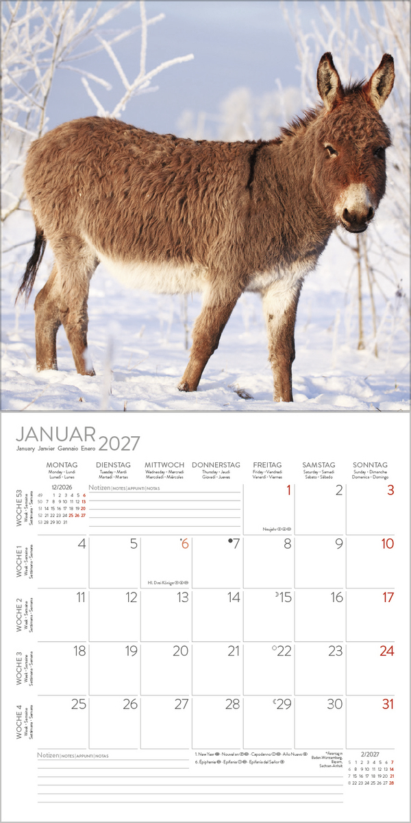 Esel 2027, Innenansicht #1